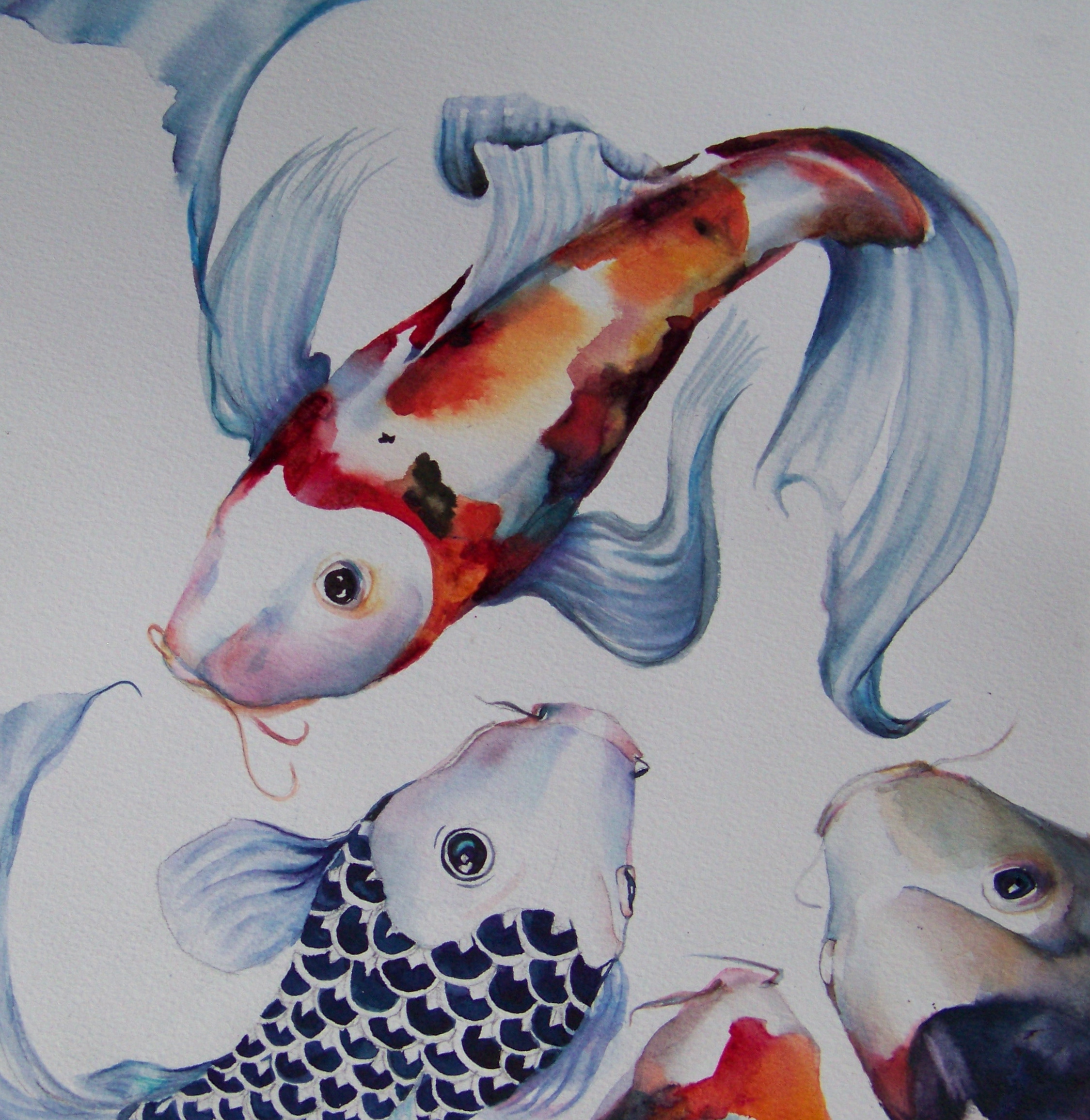 I love the pattern on the Koi
